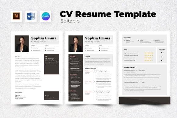 Resume CV Marketing Analyst V1: A Strategic Tool for Data-Driven Careers