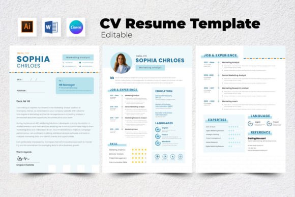 Resume CV Marketing Analyst V8